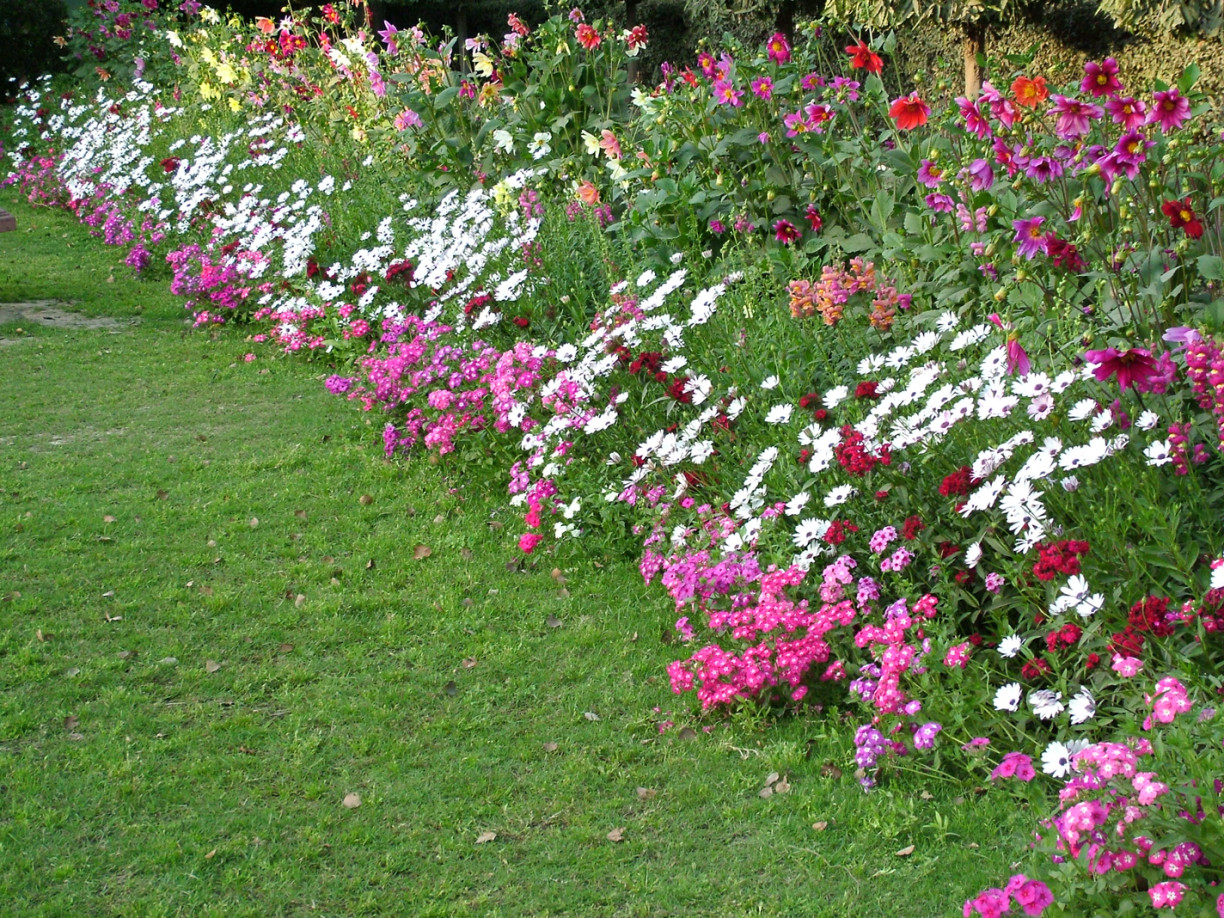 flower-bed-1527155